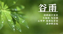 【二十四節(jié)氣灸】谷雨時(shí)節(jié)，用艾為您的健康加上一道保險(xiǎn)！