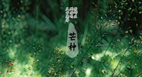 【二十四節(jié)氣灸】芒種節(jié)氣，培土補(bǔ)脾、養(yǎng)陰生津！艾灸這些穴位事半功倍！