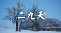 【三九養(yǎng)生】冬二九，扶陽補腎氣，讓你陽氣充足一整年！