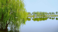 【艾灸知識(shí)】春三月，必艾灸穴位：疏肝理氣，養(yǎng)血調(diào)神！