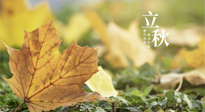 【節(jié)氣養(yǎng)生】甲辰立秋，“2做”、“2不做”，護(hù)好我們身體的正氣，預(yù)防外邪的侵襲！