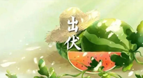 【艾灸三伏天】出伏后記得堅(jiān)持艾灸，伏后固本，做好至關(guān)重要的最后一步！