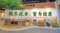 【艾草知識(shí)】小小艾草，渾身是寶，一生燃盡此身，皆為健康！